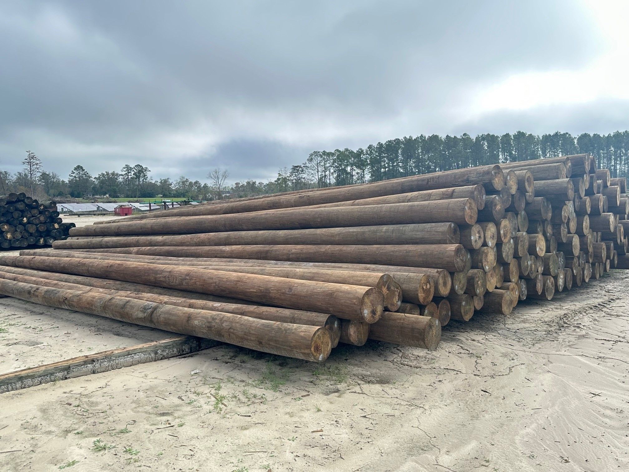 Postes Madera Tratada